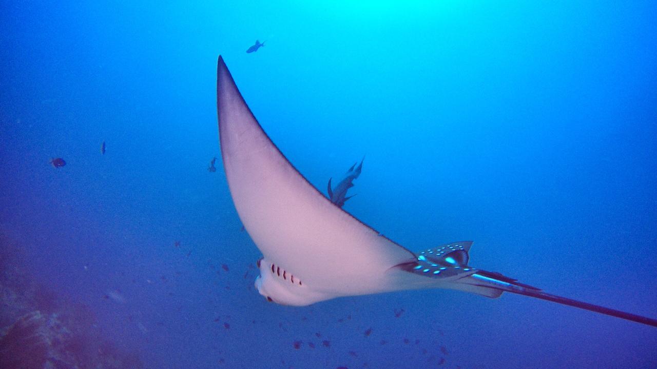 Athiri Beach Maldives Dhigurah  Exterior foto