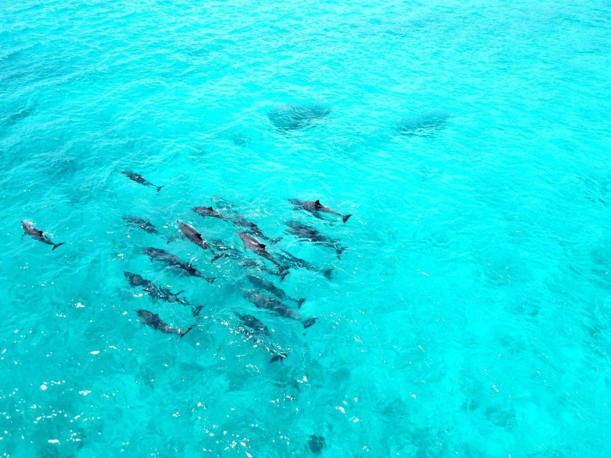 Athiri Beach Maldives Dhigurah  Exterior foto