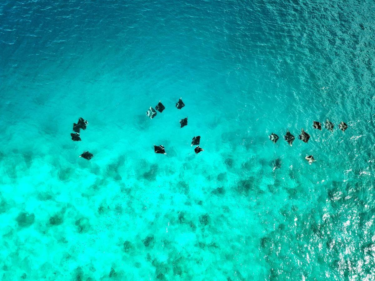 Athiri Beach Maldives Dhigurah  Exterior foto