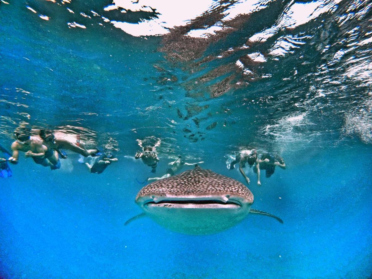 Athiri Beach Maldives Dhigurah  Exterior foto